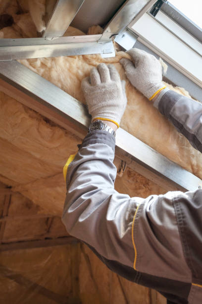 Best Insulation Installation Services in Spring Hill, TN